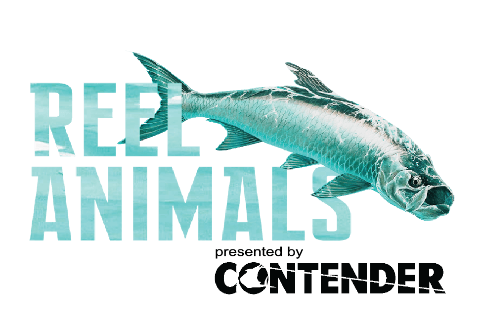 CLENZOIL SPONSORS CAPTAIN MIKE ANDERSON AND THE REEL ANIMALS FISHING SHOW - Clenzoil Unlimited
